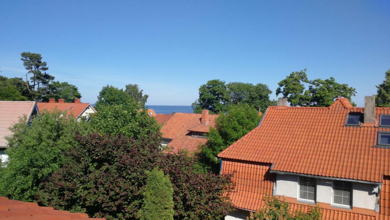 Ausras Mansarde Appartement Nida Buitenkant foto